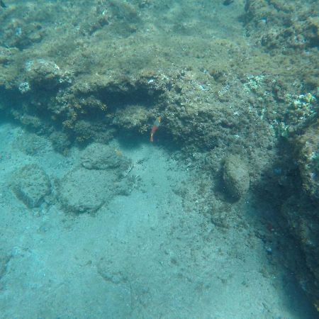 ארינאגה Maravillosas Vistas Al Mar: Sounds Of The Sea מראה חיצוני תמונה
